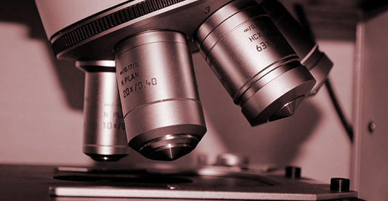 精細(xì)化的專(zhuān)業(yè)品質(zhì)